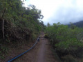 Sentier