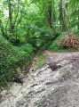 Sentier