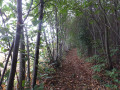 Sentier...
