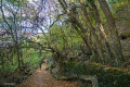 Sentier