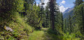 Sentier