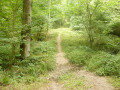 Sentier Sentier