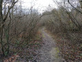Sentier