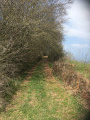 Sentier