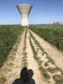 Sur les hauteurs de Tholomé à Chaponnay