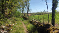 Les environs d'Escamps : iris et truffières