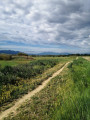 Sentier Sentier