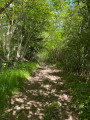 Sentier