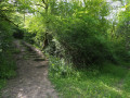 Sentier Sentier