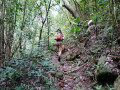 Sentier