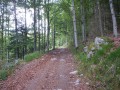 Sentier... Sentier...