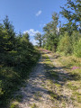 sentier