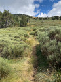 Sentier