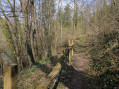 Sentier Sentier
