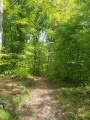 Du Parc de la Bruneterie à la Forêt de Marly en boucle Du Parc de la Bruneterie à la Forêt de Marly en boucle