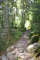 Sentier