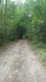 Chemin tout droit