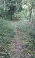 Sentier