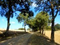 Sentier