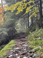 Sentier