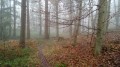 Sentier