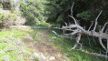 Sentier