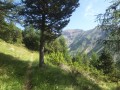 Vue sur le vallon