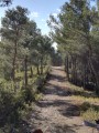Sentier