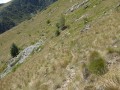 Sentier