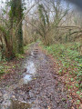 Sentier