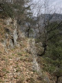 Sentier