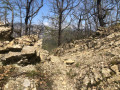 Sentier