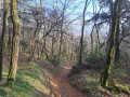 Boucle autour du Montmiandon avec vue sur Annonay