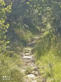 Sentier