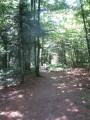 Sentier