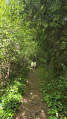 Footpath