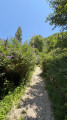 Trail