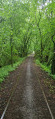 Sentier