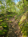 sentier