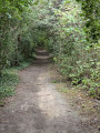 Sentier