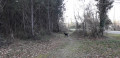 sentier sentier