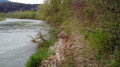 Sentier