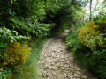 Sentier