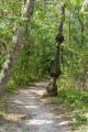 Sentier