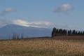 Le mont Ventoux Le mont Ventoux