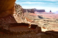 sequoia1 sequoia1