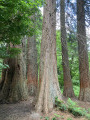 Boucle dans les Bois d'Esneux par Lagrange et Houte-si-Plout Boucle dans les Bois d'Esneux par Lagrange et Houte-si-Plout