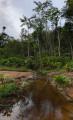 Shaded creek Shaded creek