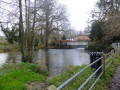 Shotesham mill pond