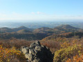 Durch das Siebengebirge